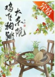 鸡飞狗跳大杂院笔趣阁